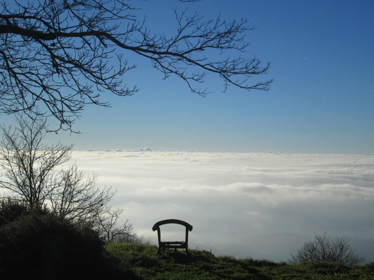 Montalma Bed & Breakfast Monchique Dış mekan fotoğraf