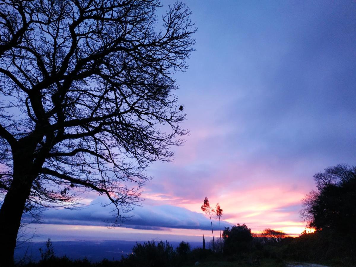 Montalma Bed & Breakfast Monchique Dış mekan fotoğraf